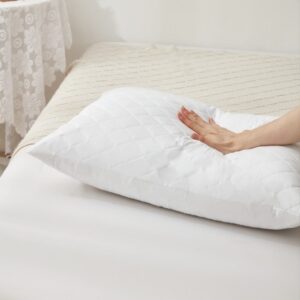 Sleep Well Pillow