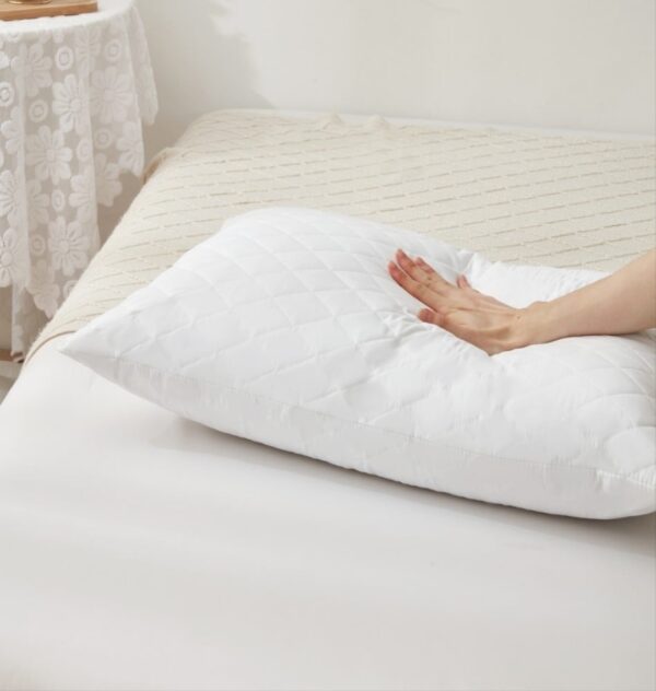 Sleep Well Pillow